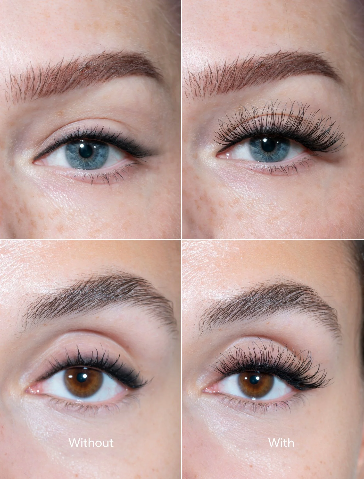 The lash - Image 3