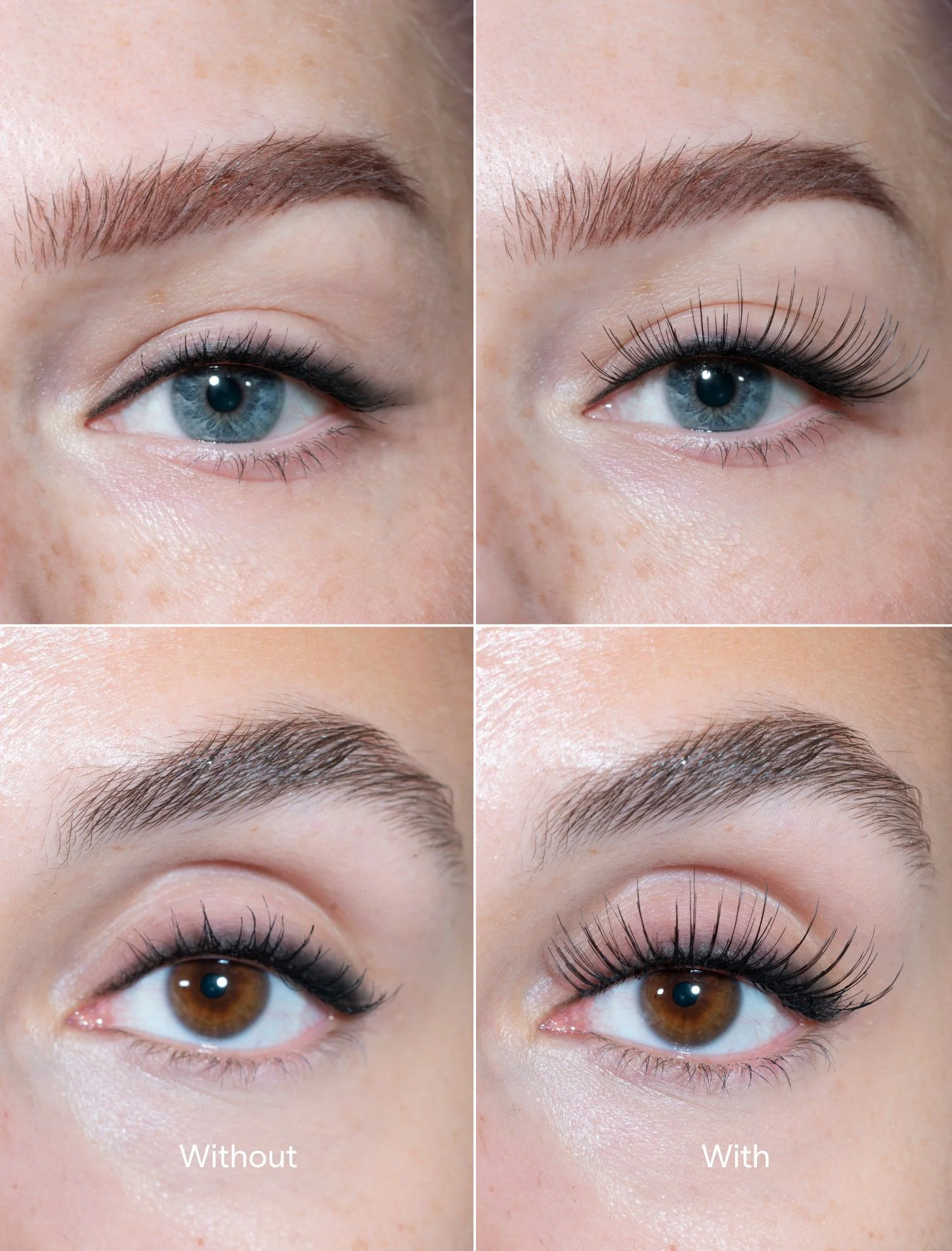 The lash - Image 7